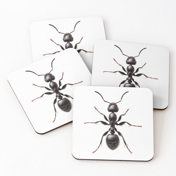 Item preview, BLACK ANT designed and sold by BIGPIX91011.