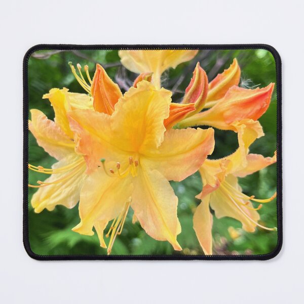 Item preview, Flame Azalea designed and sold by Lana Magnolia.