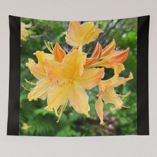 Item preview, Flame Azalea designed and sold by Lana Magnolia.