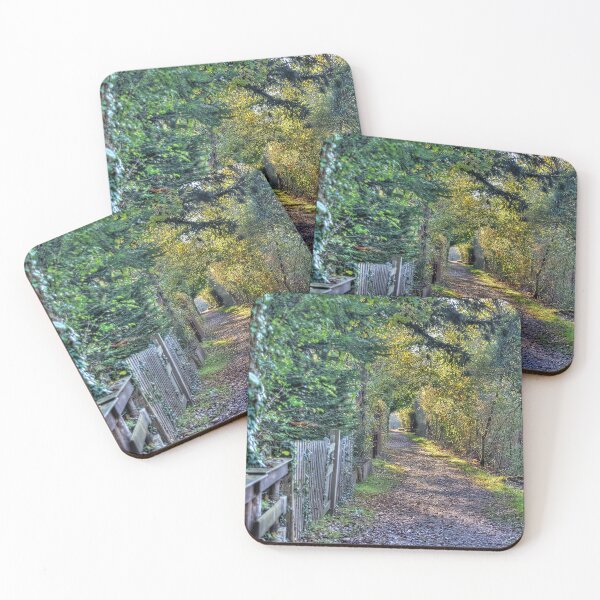 Item preview, The path to sunlight designed and sold by beatbieri.ch.