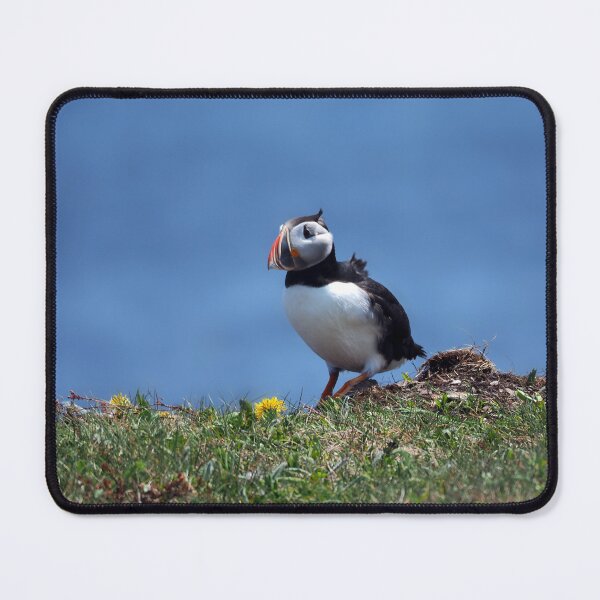 Item preview, Little Cutie designed and sold by Alla Gill.