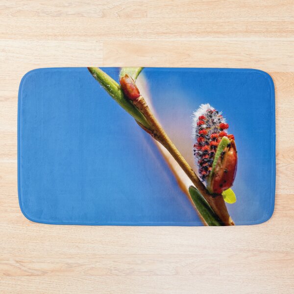 Item preview, Play of colors in nature designed and sold by beatbieri.ch.