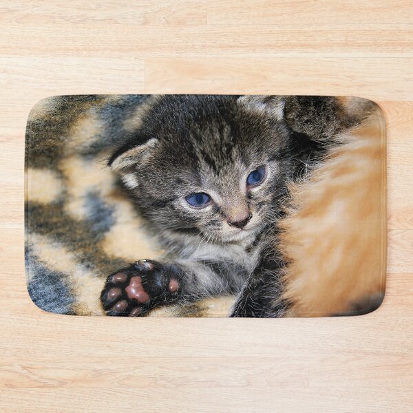 Item preview, Tabby kitten with blue eyes designed and sold by beatbieri.ch.