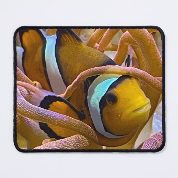 Item preview, Clown fish designed and sold by Antz Designs.