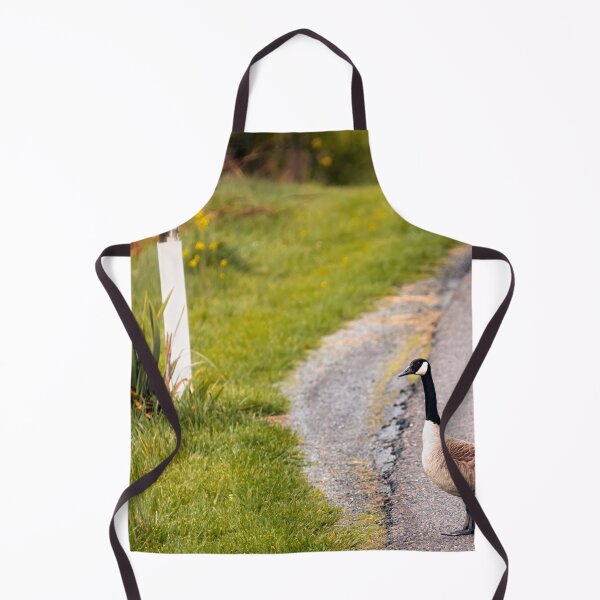 Item preview, Late Mail designed and sold by Jim Love.