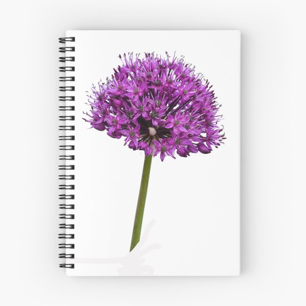 Item preview, Allium Haarlem Superglobe designed and sold by Frank  Irwin.