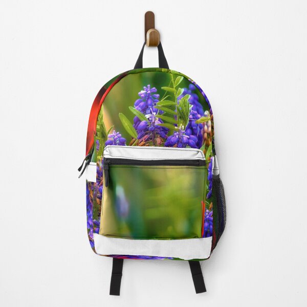 Item preview, Bloomerang designed and sold by Jim Love.