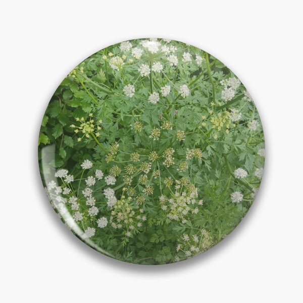 Item preview, Cow parsley photograph designed and sold by esvb.