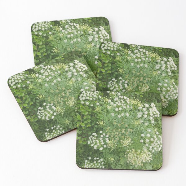 Item preview, Cow parsley photograph designed and sold by esvb.
