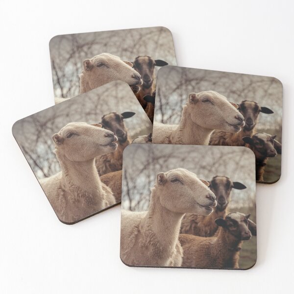 Item preview, Peaceful Wool designed and sold by Jim Love.