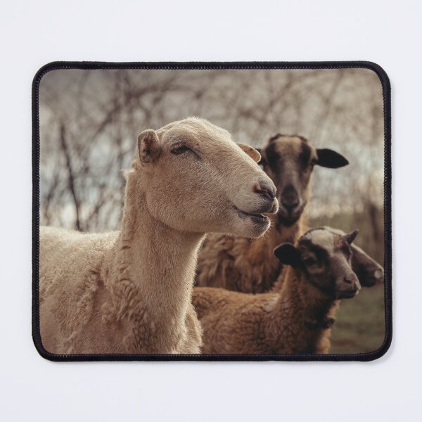 Item preview, Peaceful Wool designed and sold by Jim Love.
