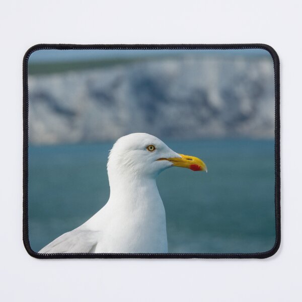Item preview, European Herring Gull Profile designed and sold by Debra Martz.