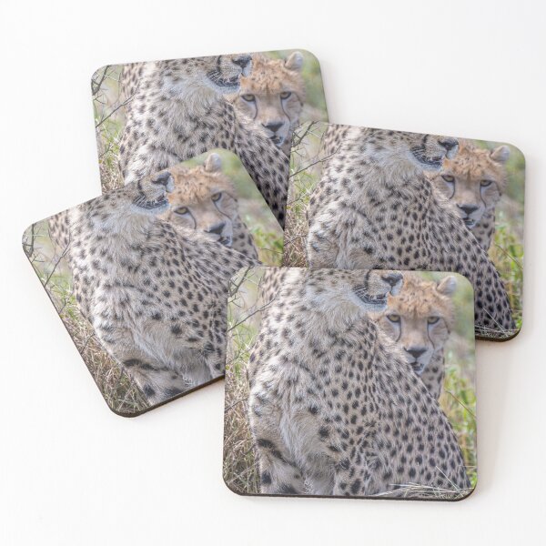 Item preview, Two Cheetahs on the Hunt Masai Mara Kenya designed and sold by PhotoArt by Joan Carroll.