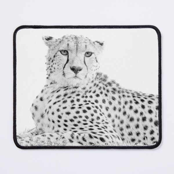 Item preview, High Key Resting Cheetah Masai Mara Kenya designed and sold by PhotoArt by Joan Carroll.