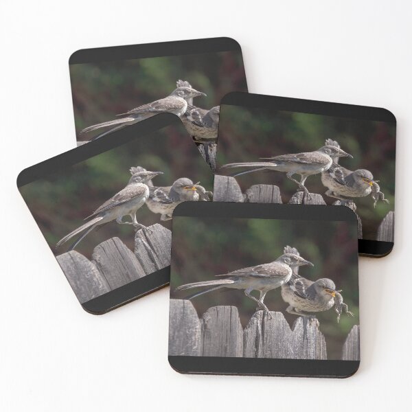 Item preview, Mockingbird Feeding Her Fledgling a Lizard designed and sold by CarolM.