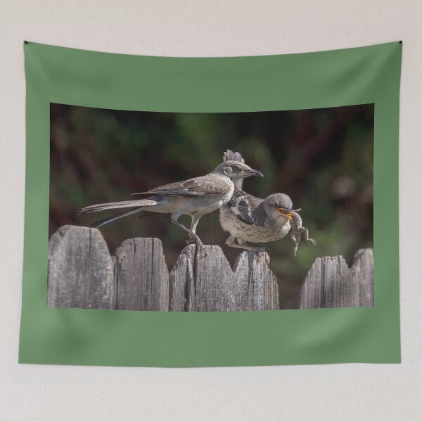 Item preview, Mockingbird Feeding Her Fledgling a Lizard designed and sold by CarolM.