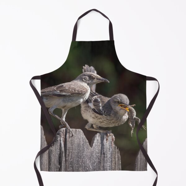 Item preview, Mockingbird Feeding Her Fledgling a Lizard designed and sold by CarolM.