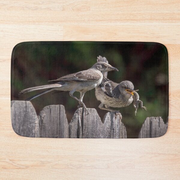 Item preview, Mockingbird Feeding Her Fledgling a Lizard designed and sold by CarolM.