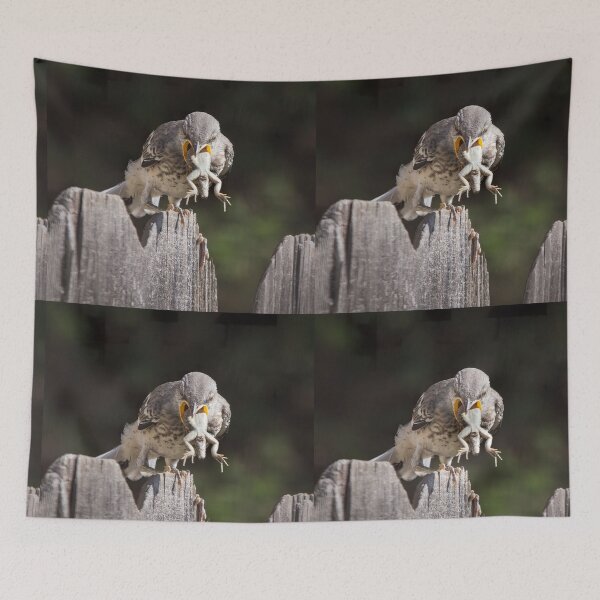 Item preview, Mockingbird Fledgling Unable to Swallow Lizard, Coughs Him Up.   designed and sold by CarolM.