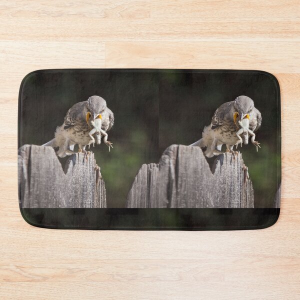 Item preview, Mockingbird Fledgling Unable to Swallow Lizard, Coughs Him Up.   designed and sold by CarolM.