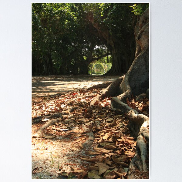 Item preview, Banyan Magic designed and sold by Virginia N. Fred.