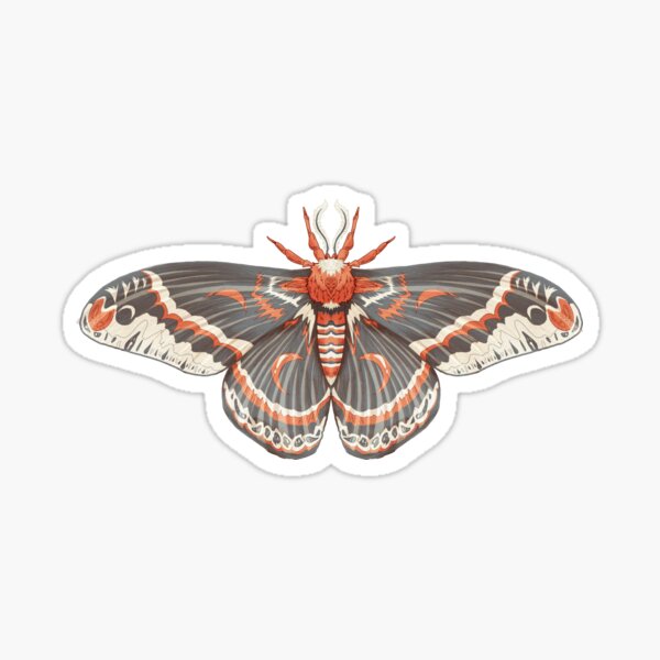 Item preview, Cecropia Moth designed and sold by Cilantro-Sketch.