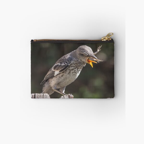 Item preview, Mockingbird Fledgling Trying To Choke Down a Lizard designed and sold by CarolM.