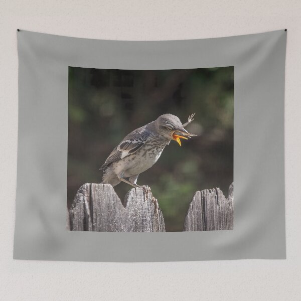 Item preview, Mockingbird Fledgling Trying To Choke Down a Lizard designed and sold by CarolM.