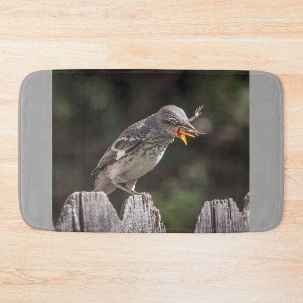 Item preview, Mockingbird Fledgling Trying To Choke Down a Lizard designed and sold by CarolM.