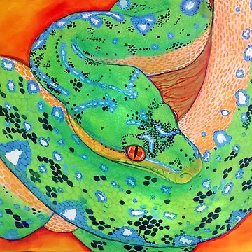 Artwork thumbnail, GTP Green Tree Python by candy-neuron