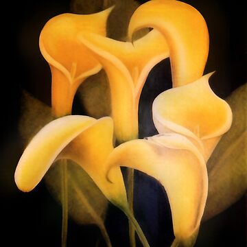 Artwork thumbnail, Yellow Lilly - Oil Painting by Avril Thomas - Adelaide / South Australia Artist by AvrilThomasart