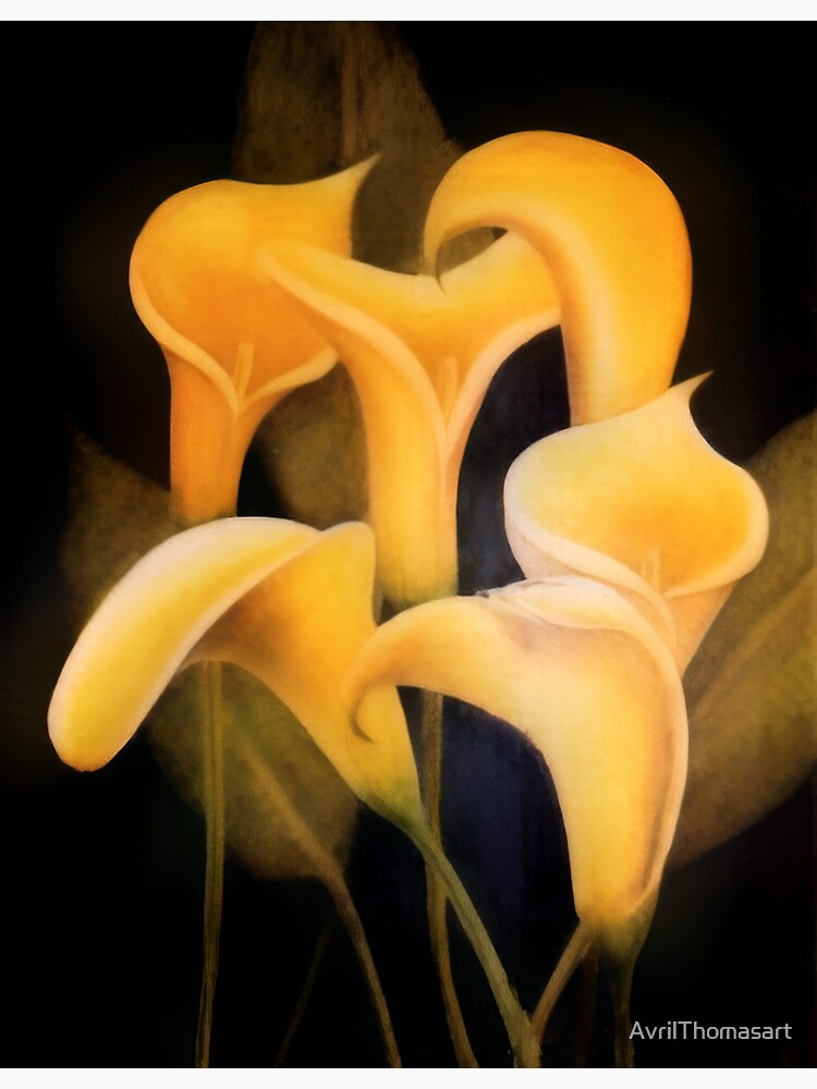 Thumbnail 3 of 3, Sticker, Yellow Lilly - Oil Painting by Avril Thomas - Adelaide / South Australia Artist designed and sold by AvrilThomasart.