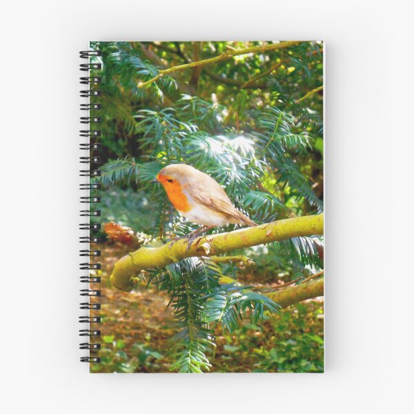Aperçu de l'œuvre Robin amical créée et vendue par Swirling_UniverseShop.