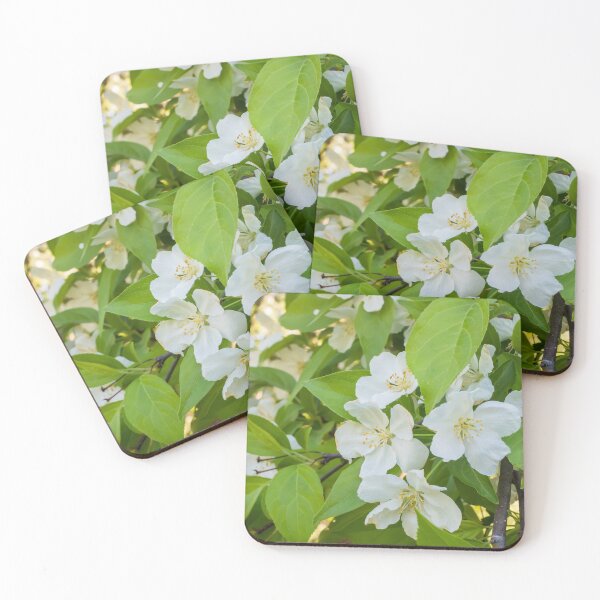 Item preview, Siberian Crabapple Blossoms, Malus Baccata designed and sold by LINDA MCKUSICK.