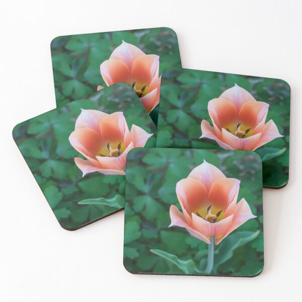 Item preview, Pretty Peach Tulip Surrounded by Green Leaves on a Spring Day designed and sold by LINDA MCKUSICK.
