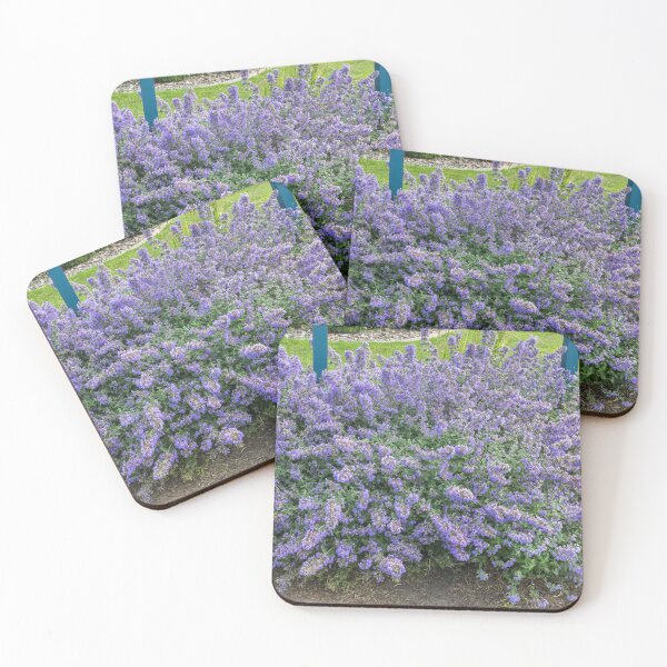 Item preview, Purple Flowering Nepeta, also known as Catmint  designed and sold by LINDA MCKUSICK.