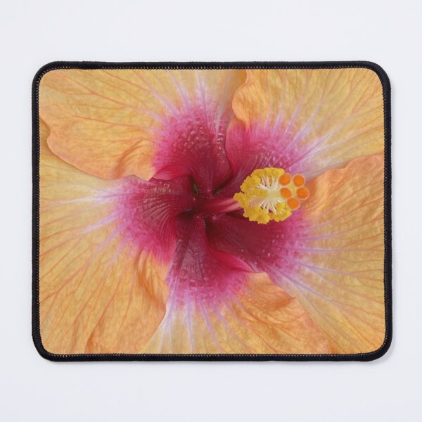 Item preview, Island Light Orange Hibiscus Flower Bloom designed and sold by Sparkleweather.