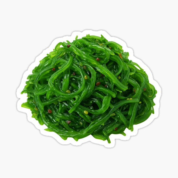 Item preview, Seaweed Salad – Seasoned Wakame Strips with Sesame designed and sold by JMT (Just Miscellaneous Things).