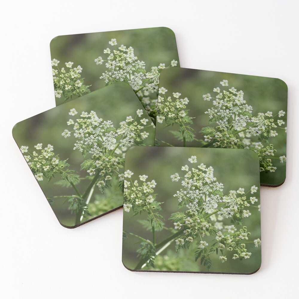 Item preview, Coasters (Set of 4) designed and sold by Reriginal.