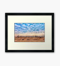 wild horses Framed Print