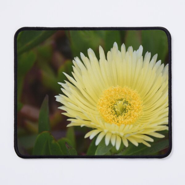 Item preview, Yellow Flower designed and sold by Tracy Engle.