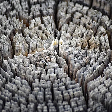 Artwork thumbnail, Wooden Ridges by Tracy Engle