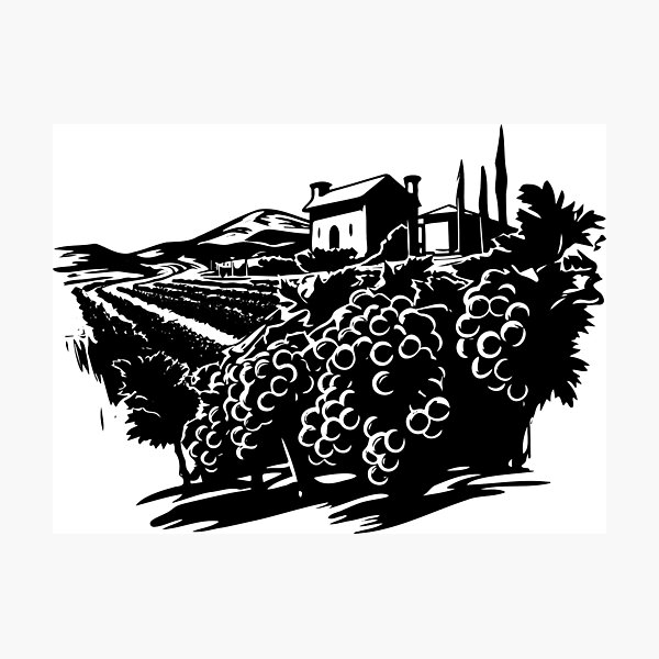 Item preview, Vineyard Winery Grapes Estate Farm Viticulture Garden designed and sold by inkoutninja.