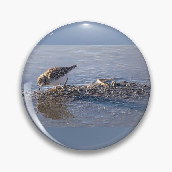 Item preview, Least Sandpiper, World's Smallest Shorebird designed and sold by CarolM.