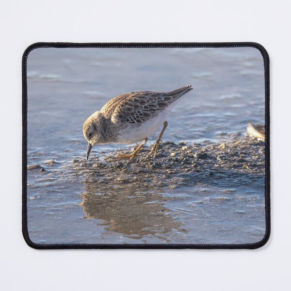 Item preview, Least Sandpiper, World's Smallest Shorebird designed and sold by CarolM.