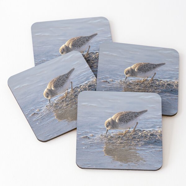 Item preview, Least Sandpiper, World's Smallest Shorebird designed and sold by CarolM.