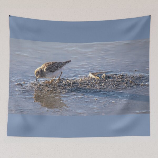 Item preview, Least Sandpiper, World's Smallest Shorebird designed and sold by CarolM.