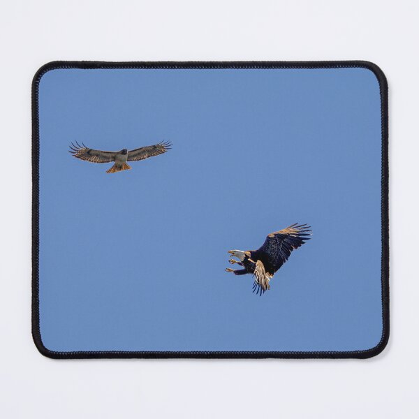 Item preview, Huntington Beach Bald Eagle Playing With A Red Tail Hawk designed and sold by PsychoAlien.com.