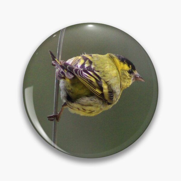 Item preview, siskin designed and sold by KathleenDawson.