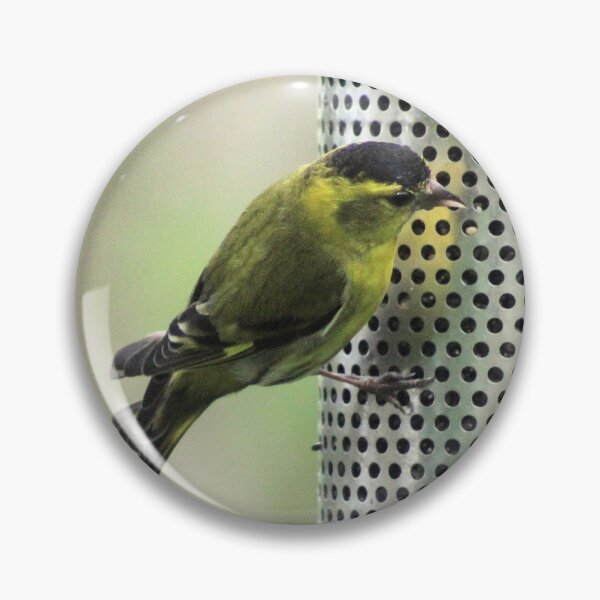 Item preview, siskin designed and sold by KathleenDawson.